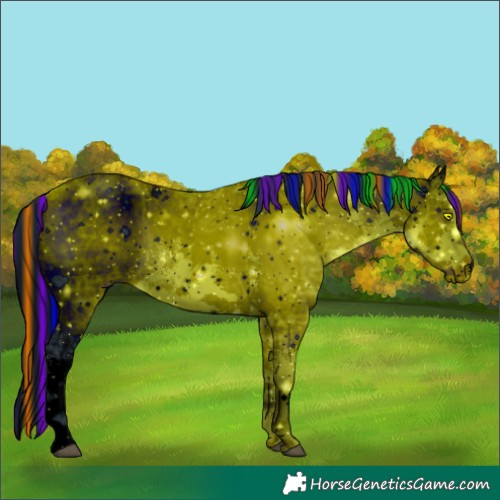 Horse Color:ERROR: UNKNOWN ANOMALY