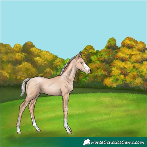 Horse Color:Silver Classic Champagne Pearl