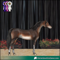 Horse Color:Brown Tobiano