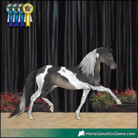 Horse Color:Black Tobiano 