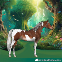 Horse Color:Silver Brown Tobiano 