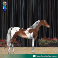 Horse Color:Silver Brown Tobiano 
