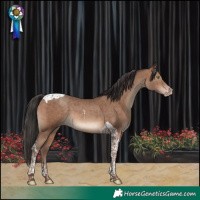 Horse Color:Sable Champagne Tobiano 