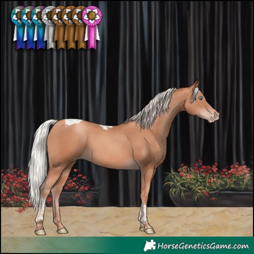 Horse Color:Silver Classic Champagne Tobiano 
