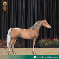 Horse Color:Silver Classic Champagne Tobiano