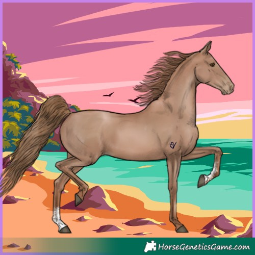 Horse Color:Black Pearl Sabino 