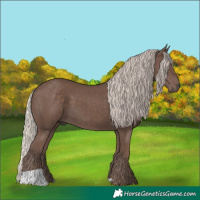 Horse Color:Silver Black