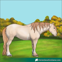 Horse Color:Classic Champagne Pearl Sabino