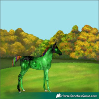 Horse Color:ERROR: UNKNOWN ANOMALY