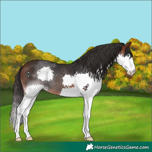 Horse Color:Brown Splash 