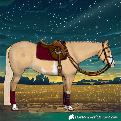Horse Color:Palomino Dun 
