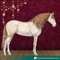 Horse Color:White Spotted Smoky Grullo Pearl Rabicano 