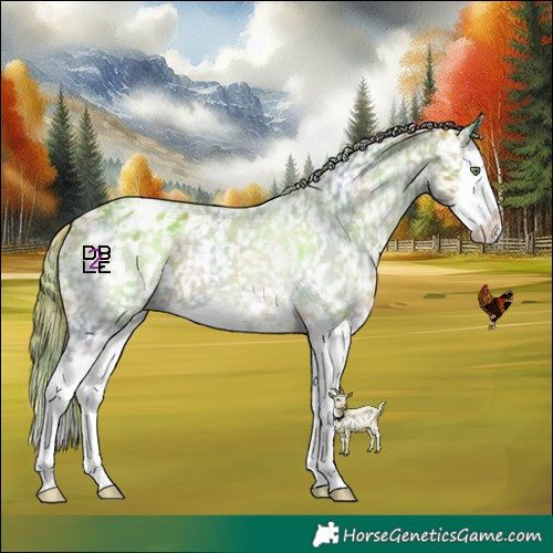 Horse Color:Nacre Amber Champagne Splash Appaloosa 