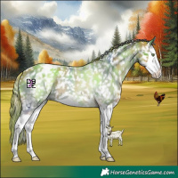Horse Color:Nacre Amber Champagne Splash Snowflake Varnish