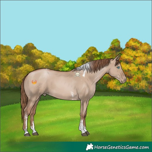 Horse Color:Grullo Pearl Sabino Tobiano 