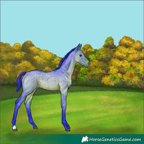 Horse Color:Watercolor Brown Roan Dun 