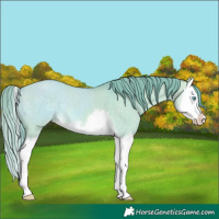 Horse Color:Watercolor White Spotted Perlino Dun Splash 