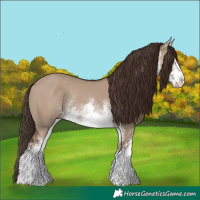 Horse Color:White Spotted Liver Red Dun Appaloosa Rabicano 