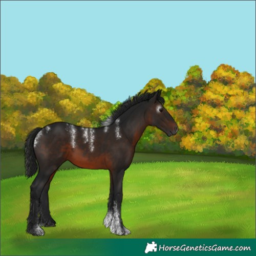 Horse Color:Powder White Gray Brown Rabicano 