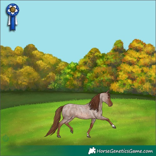 Horse Color:Red Roan 