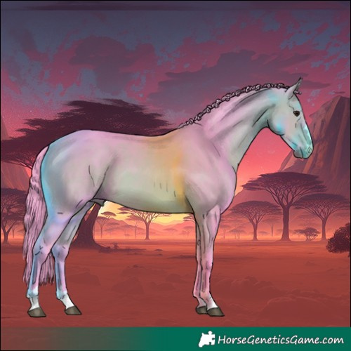 Horse Color:Watercolor Bay 