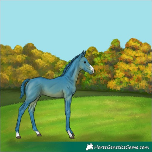 Horse Color:Watercolor Brown 