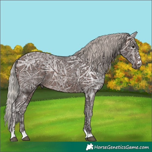 Horse Color:Silver Brown Ice 