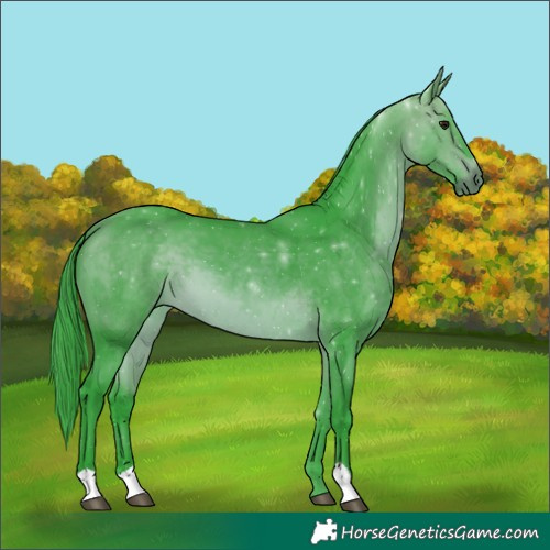 Horse Color:Watercolor Bay 