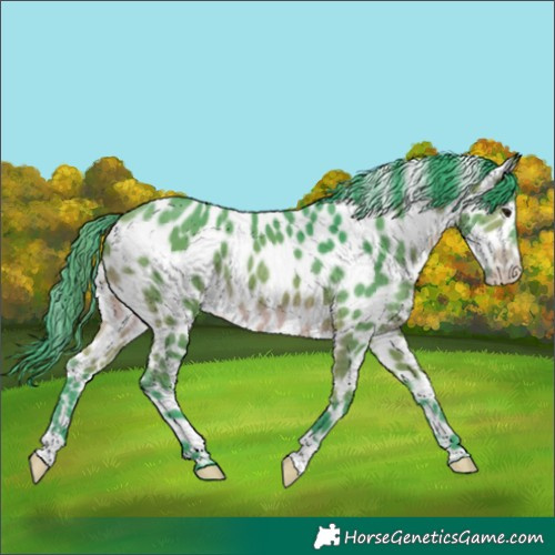 Horse Color:Watercolor Bay Appaloosa 