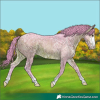 Horse Color:Watercolor Brown Ice 
