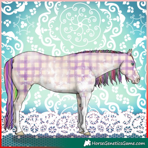 Horse Color:Painted Plaid  Smoky Black Pearl Sabino 