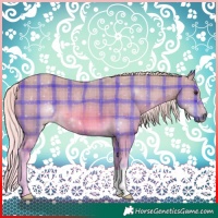 Horse Color:Watercolor Plaid  Chocolate Palomino 
