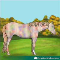 Horse Color:Nacre Gold Champagne