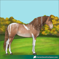 Horse Color:Powder White Brown Pearl Tobiano