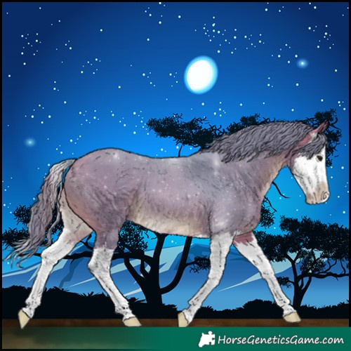 Horse Color:Watercolor Bay Splash 