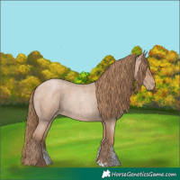 Horse Color:Blue Roan Pearl Sabino