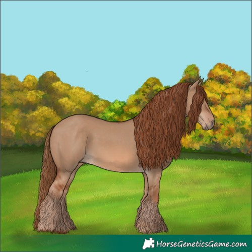 Horse Color:Red Dun 