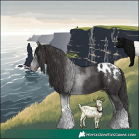 Horse Color:Smoky Black Tobiano Appaloosa 