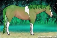 Horse Color:Watercolor Bay Splash Tobiano 