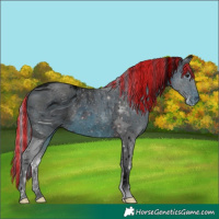 Horse Color:ERROR: UNKNOWN ANOMALY