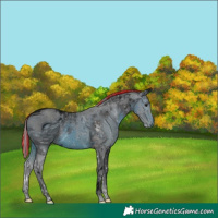 Horse Color:ERROR: UNKNOWN ANOMALY