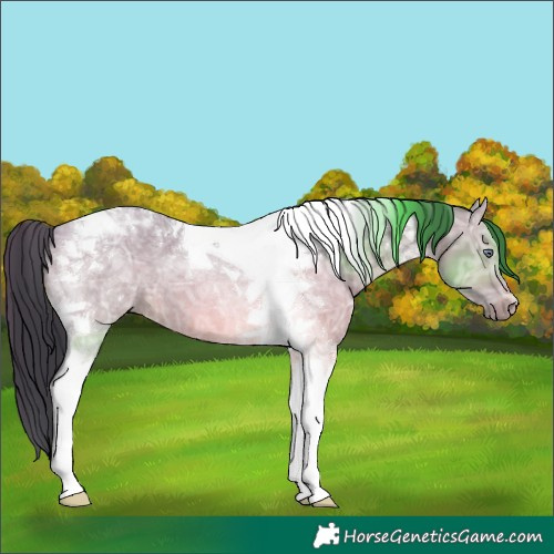Horse Color:Bay Chinchilla Ice Dun Tobiano 