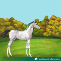 Horse Color:Bay Chinchilla Ice Dun Tobiano