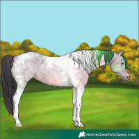 Horse Color:Bay Chinchilla Ice Dun Tobiano 