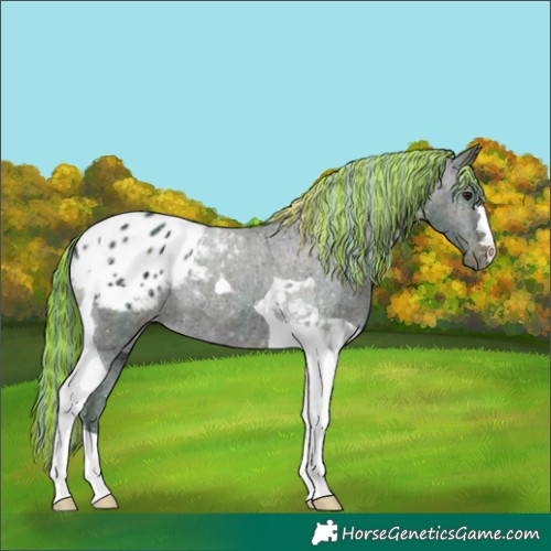 Horse Color:Painted Watercolor Midnight Brown Ice Dun Tobiano Appaloosa 