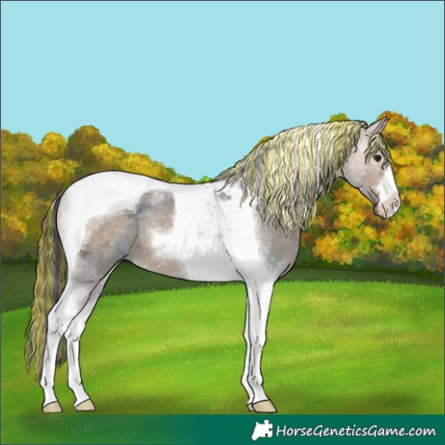 Horse Color:Painted Brown Ice Dun Tobiano 