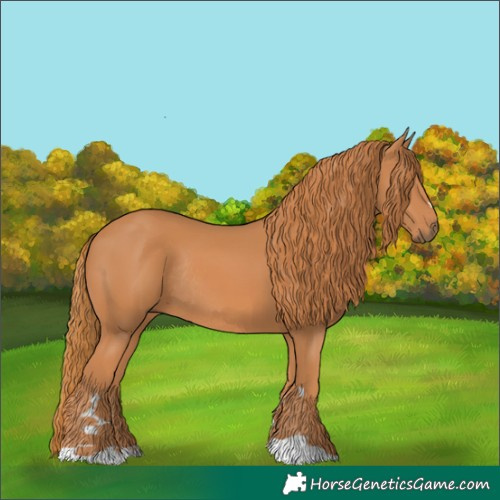 Horse Color:Chestnut Rabicano 