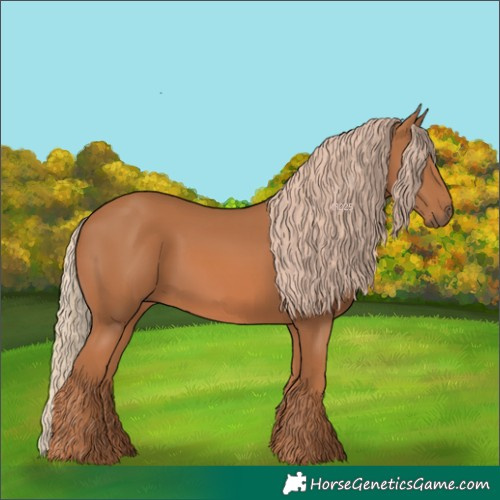 Horse Color:Chestnut 