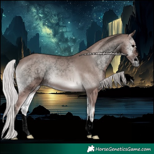 Horse Color:Void Platinum Silver Blue Onyx 