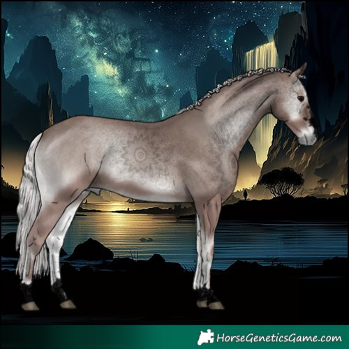 Horse Color:Void Platinum Silver Blue Onyx 